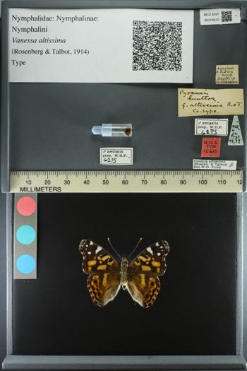Media type: image;   Entomology 16610